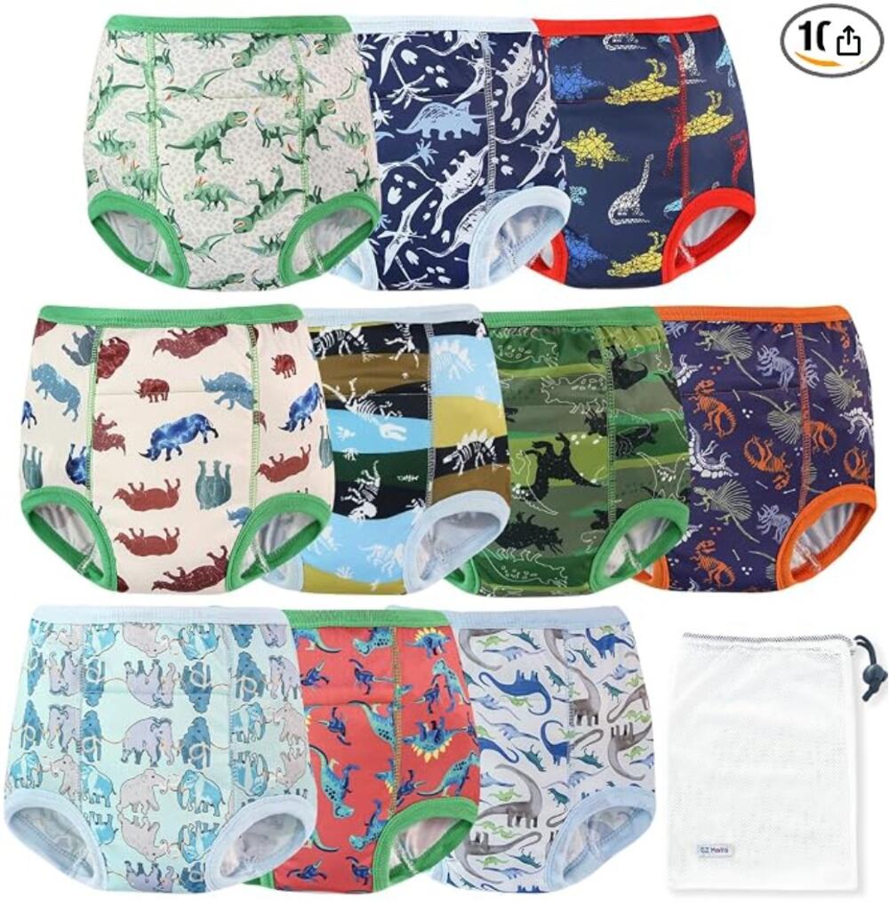10 Pack Reusable Potty Training Underwear for Boys, Double Absorption- 3T-4T